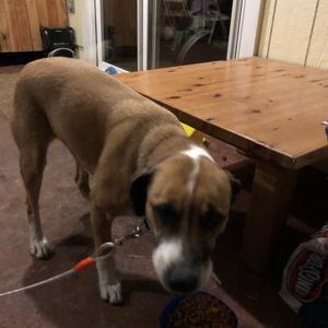 Meet your Posher, Casey